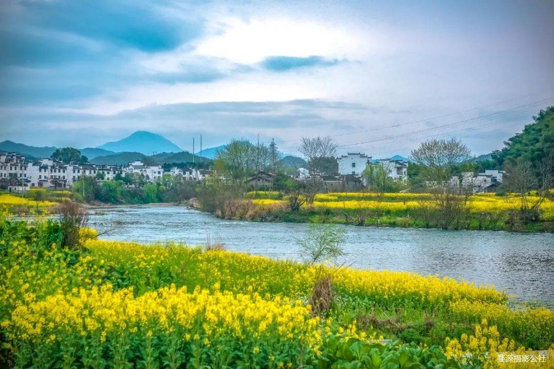 婺源油菜花风光5天4晚深度经典摄影旅游团_村落_活动_桃花