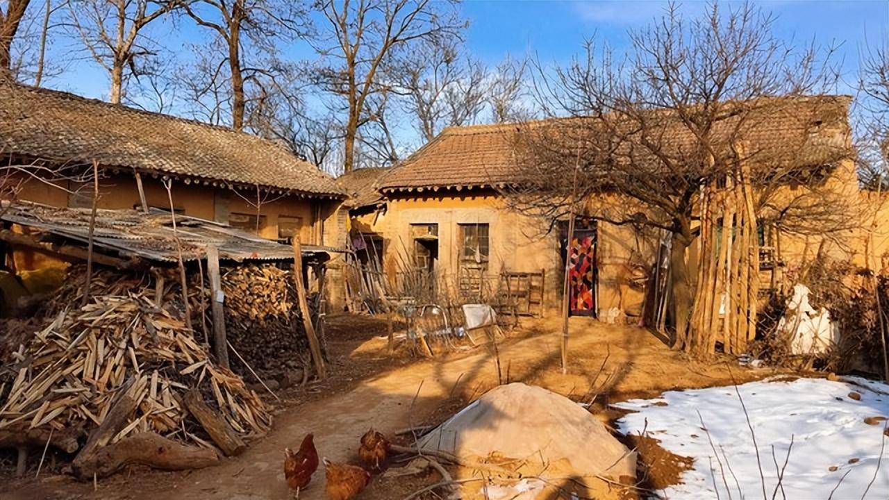 父母离去后的醒悟:农村老家之旅揭示的四件事