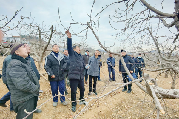 乡村振兴 山东科技特派员在行动