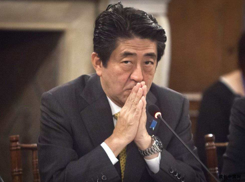 其曾被称为"日本政坛教母"_政治_家族_人物