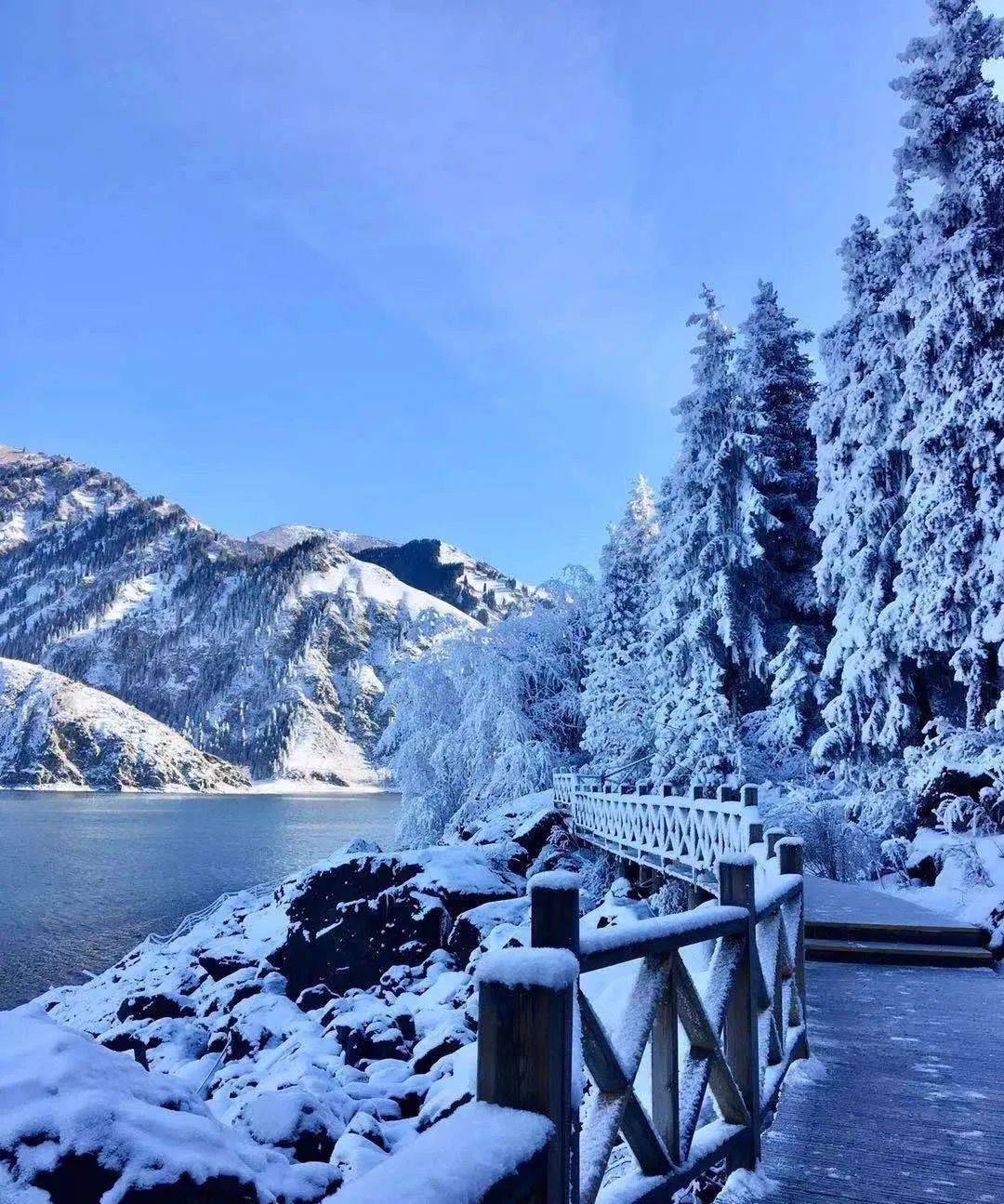 新疆雪景图图片