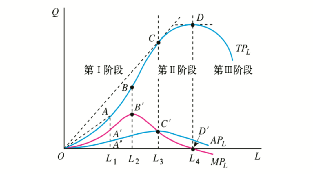 如上述的边际收益递减规律图,以小菜园的例子来看,tp代表的就是其利润