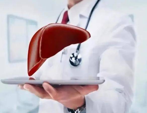 拥有好的肝脏是我们健康的有力保障,在生活中积极对肝脏进行保养