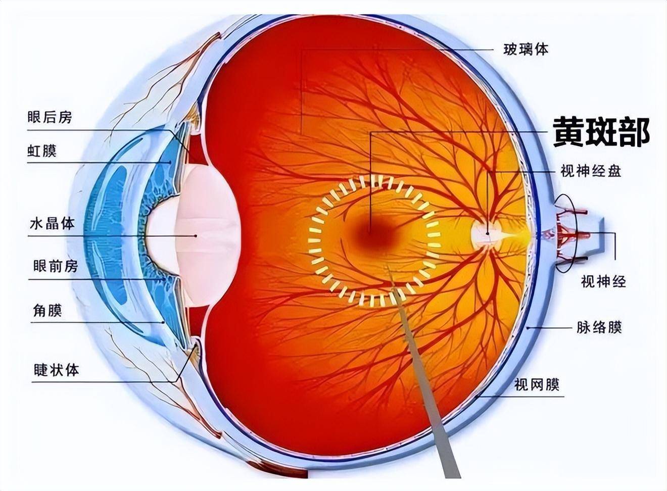 在眼底打激光安全吗?眼睛还是光明重要