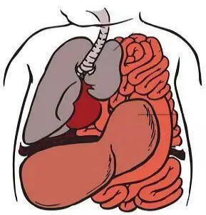 "膈"司其位——濮阳市人民医院成功开展微创单孔胸腔镜下膈肌折叠手术