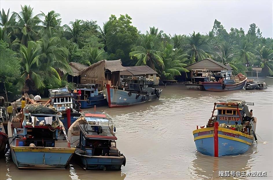 湄公河三角洲:科学探索与文化传承的璀璨明珠_保护_多样性_人们