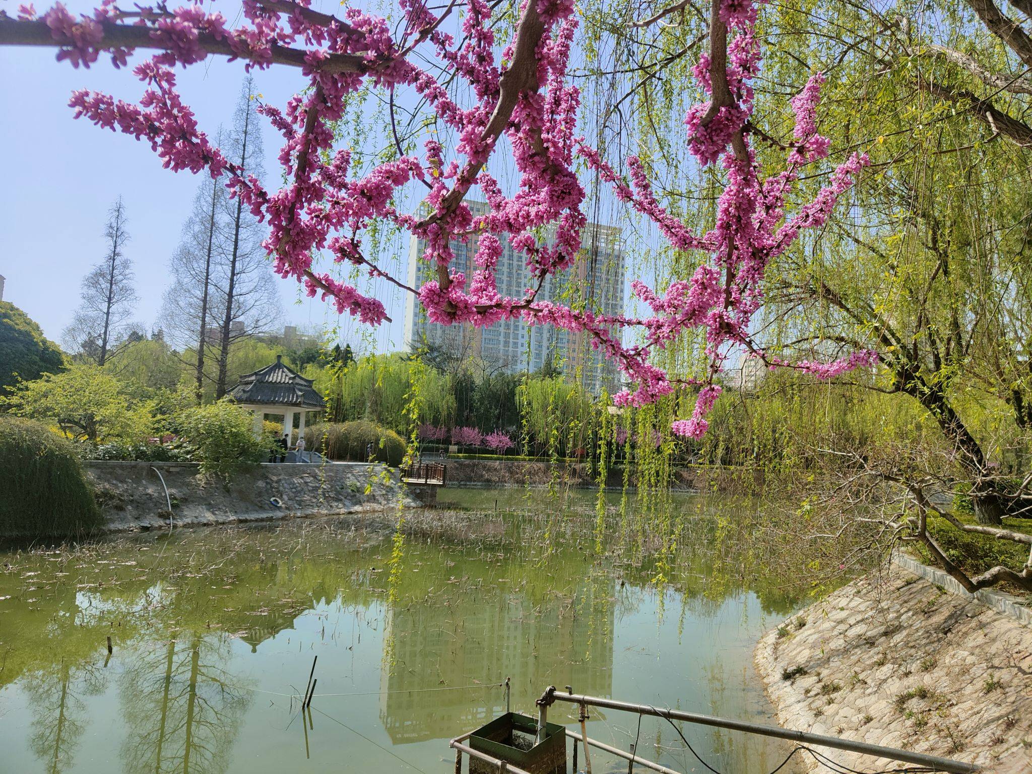 戚建莊‖美麗中國之春節戀曲_祝福_文化_中華民族