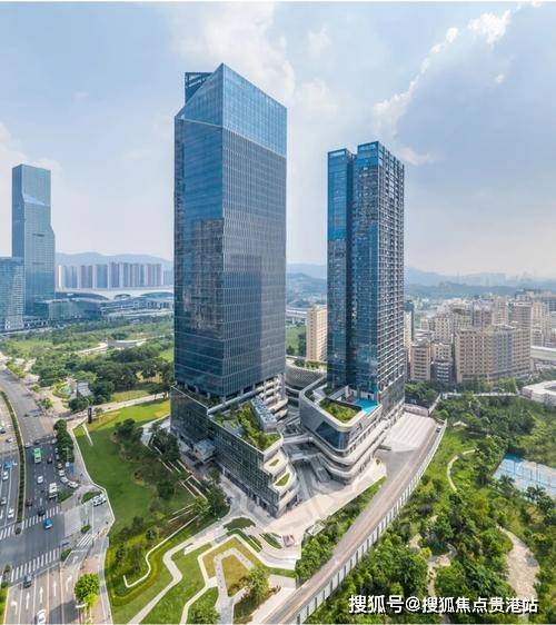 分析一下深圳华侨