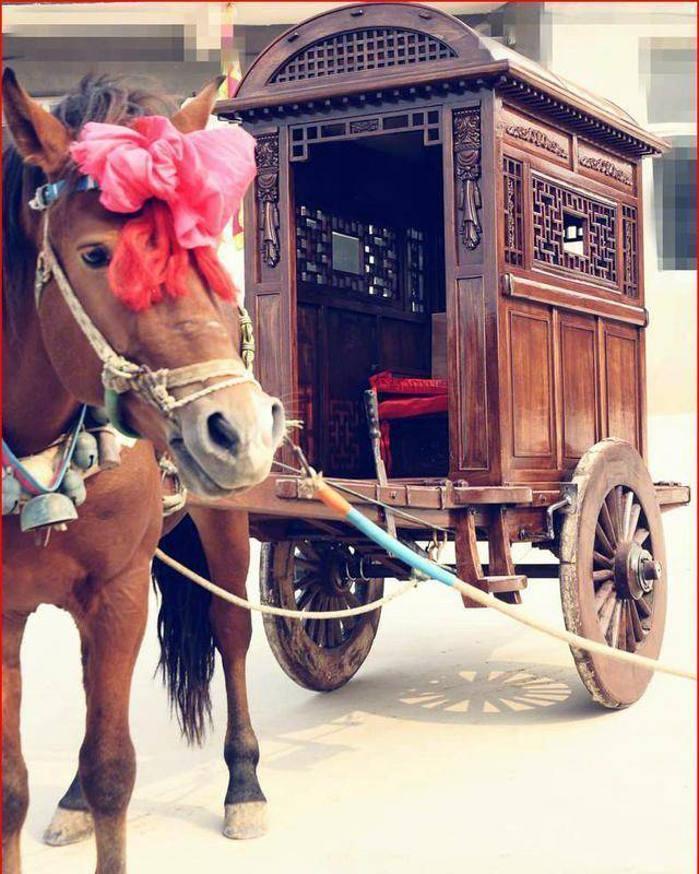 首先,马车都要配专业的马夫,不用自己驾驭马匹,不需要你掌握御马之术.