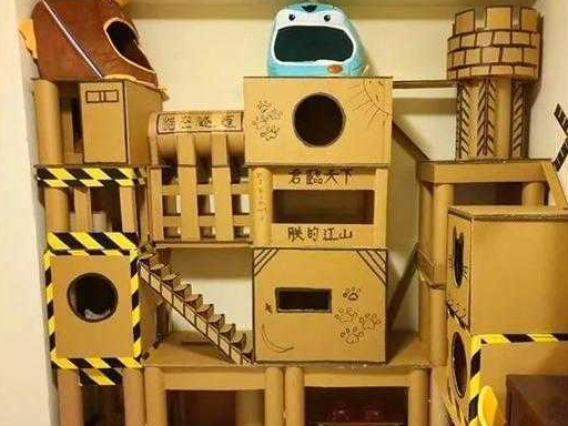 女孩领养要被安乐死猫,只因和自家猫太像_猫咪_纸箱_因为