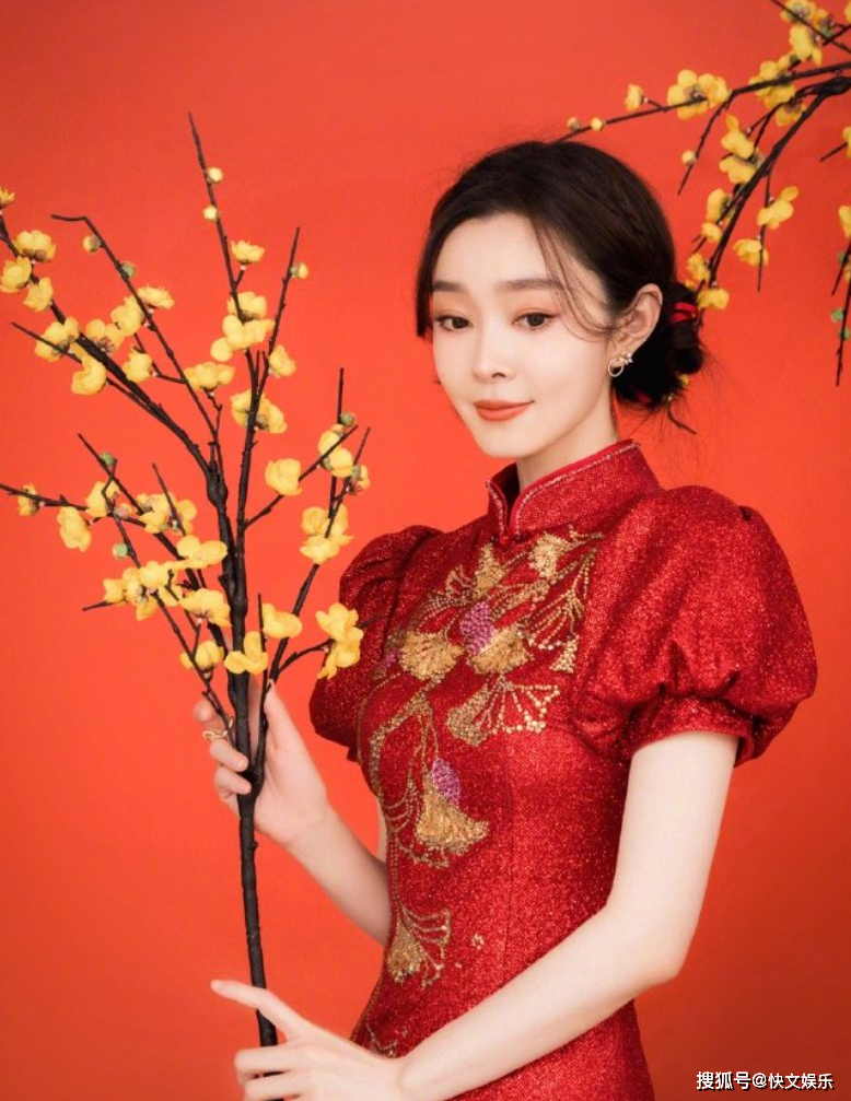 宋轶春晚旗袍造型太养眼!