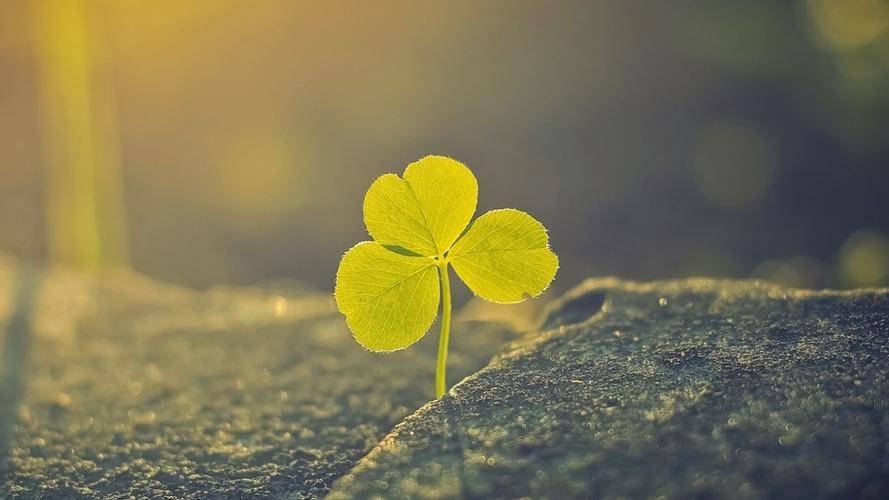 女友说"我累了",她真正渴望的回复是什么?_情感_支持