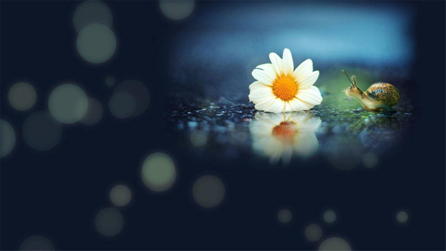 女友说"我累了",她真正渴望的回复是什么?_情感_支持