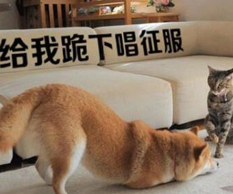 搞笑段子:今天没睡好午觉,小丁丁不精神……_车主