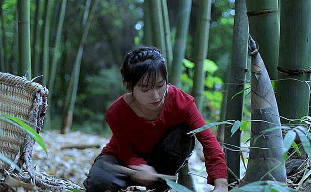 14岁辍学漂泊,曾当过酒吧dj,李子柒:所有的成功都不是偶然_视频_生活