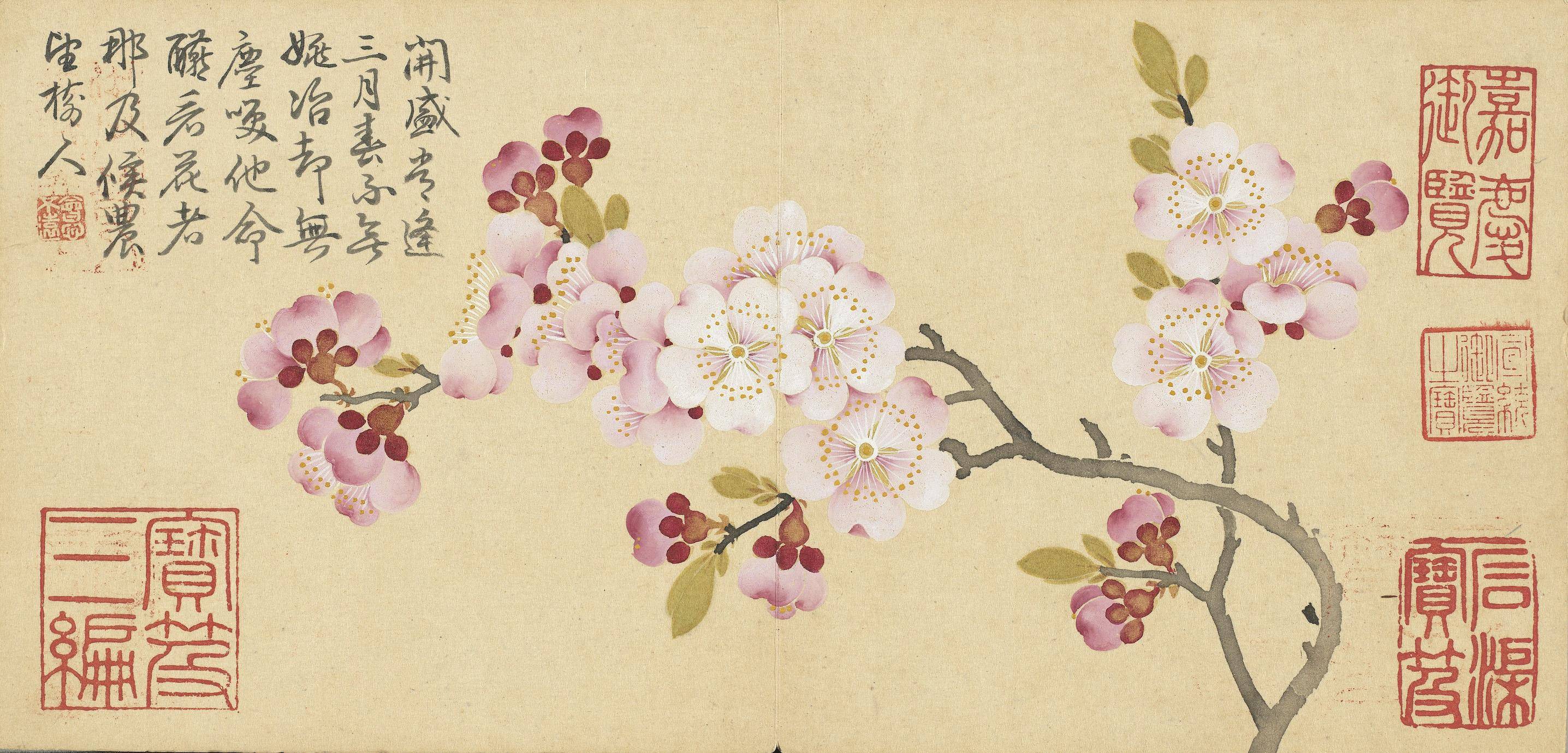 吹面不寒杨柳风——走进古画里的春天_cm_花卉_邹一桂