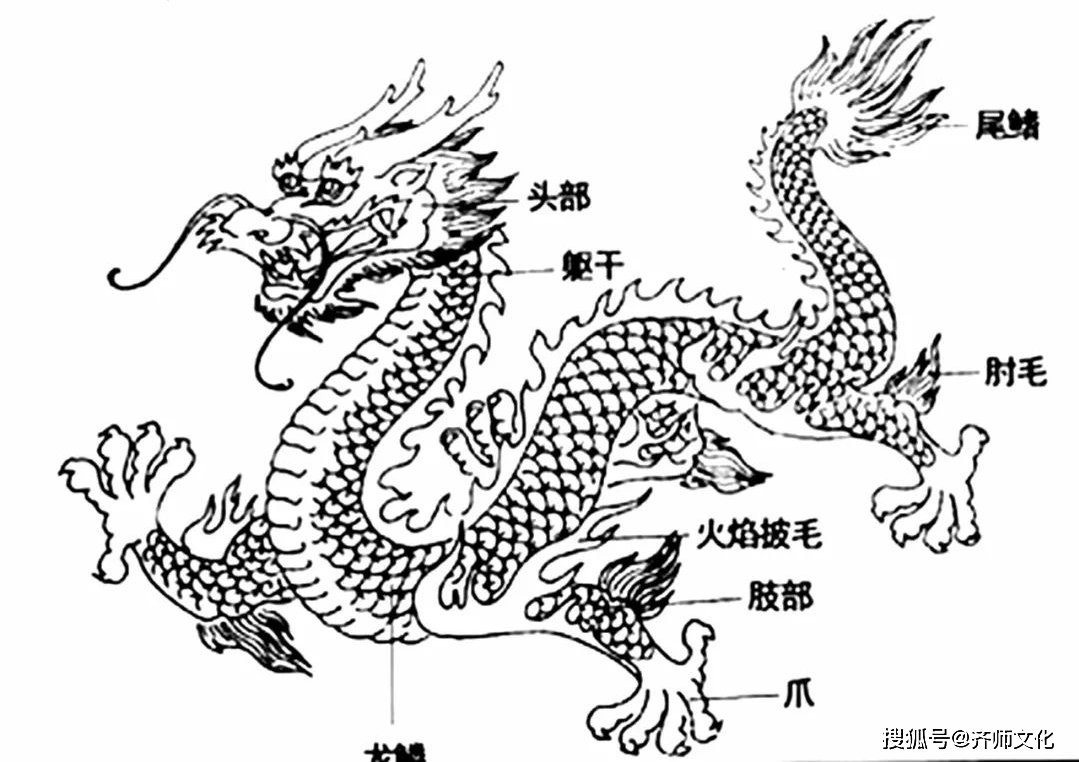 中国龙文化简析_龙的_象征_中华民族