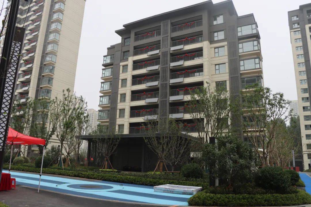 济宁尚龙原著打造全龄段活动