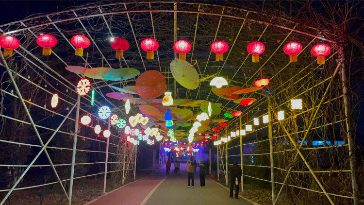 【灯展篇】焦作森林动物园2024年龙腾焦作新年灯会!