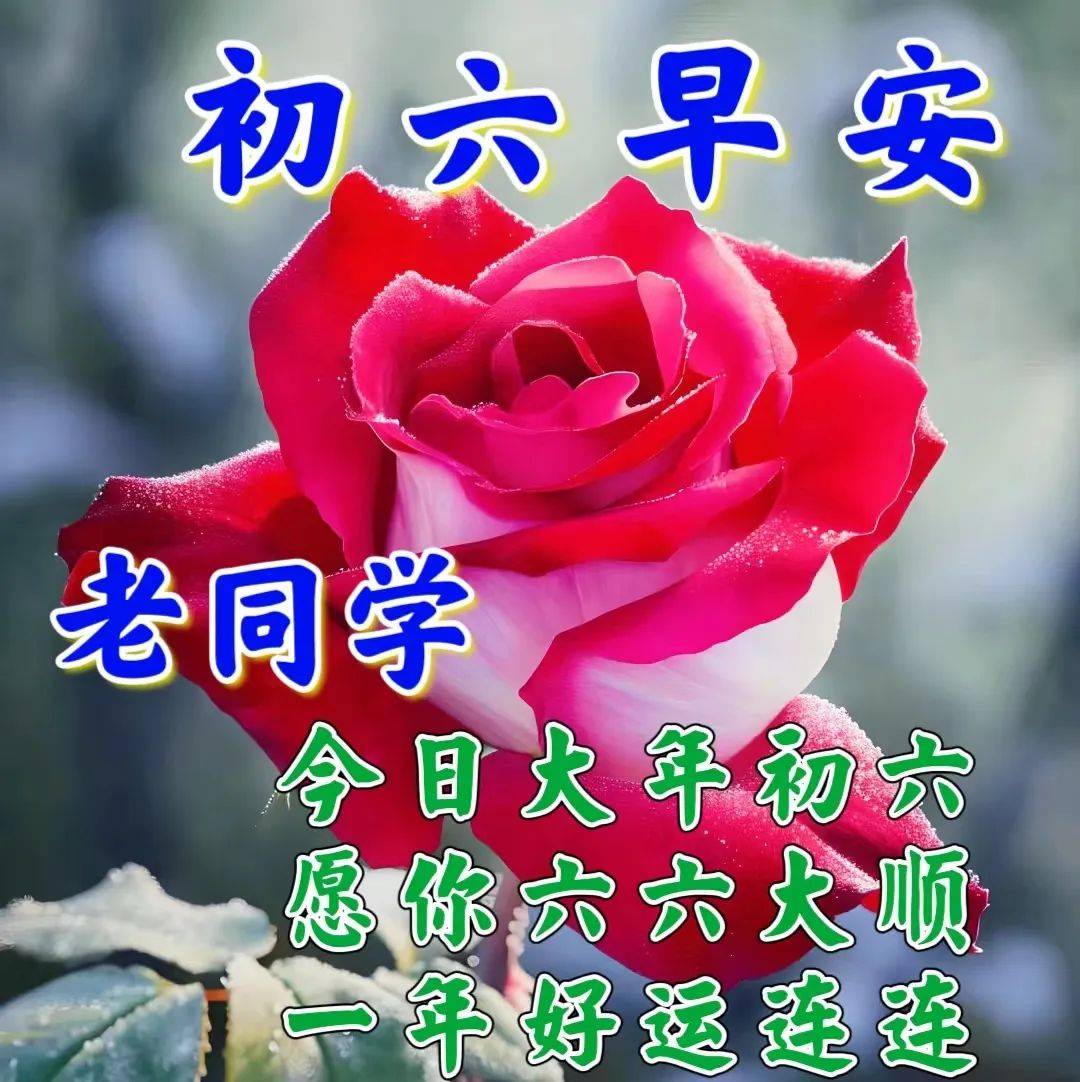 2月15日早上好!大年初六吉祥问候语大全,大年初六祝福吉祥语配图