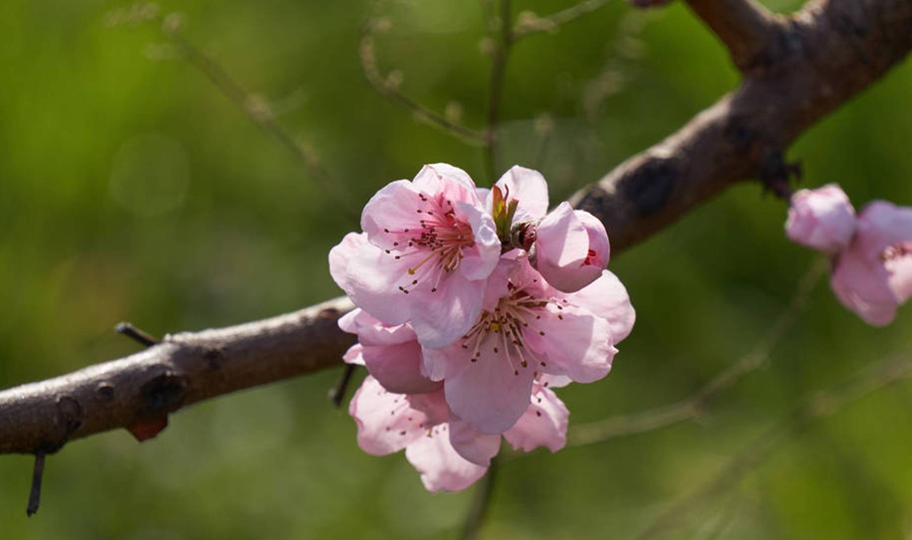 未来3周内,财运上等,收入自然节节高升的3大星座_工作