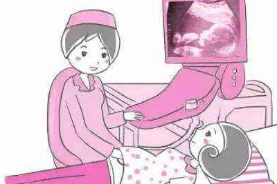 怀孕6个月胎儿图片