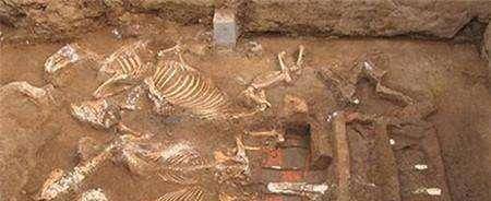 1998,南京市出现距今600年的公主墓,专家在里面发现