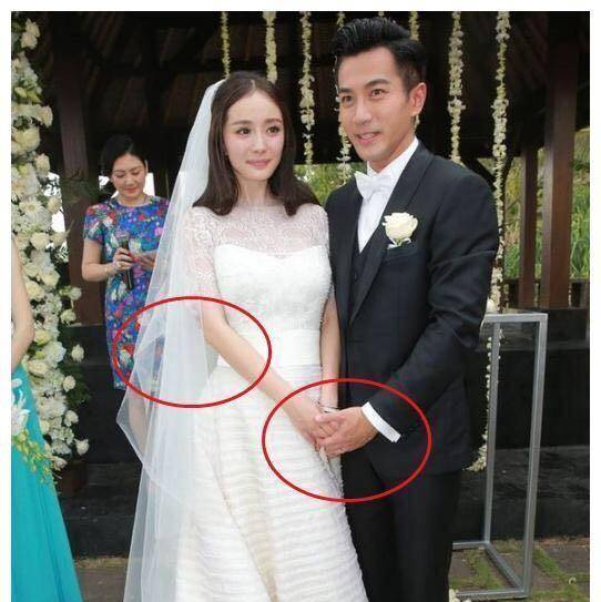 杨幂刘恺威结婚照片图片
