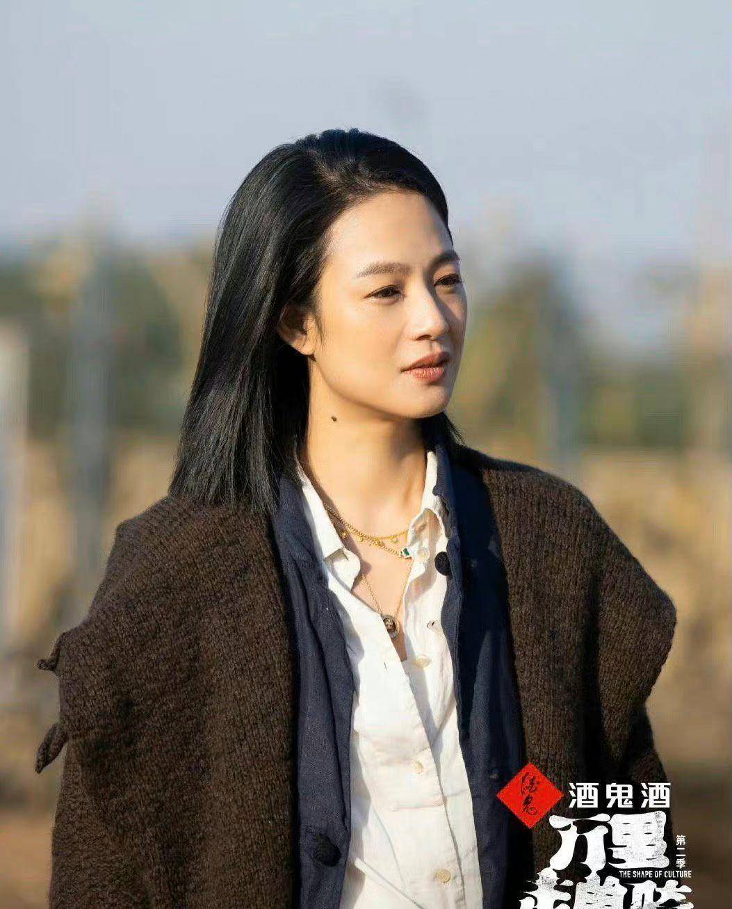 周韵:婆媳矛盾不断,丈夫姜文苦不堪言,她刚柔并济化解多年恩怨_婆婆