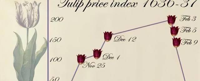 荷兰"郁金香泡沫":美梦破灭时,无数人倾家荡产_市场_贵族_资本