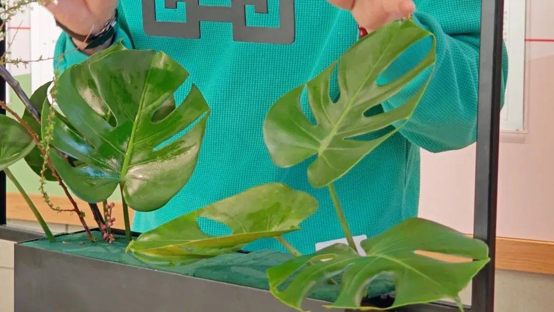 静安园艺云课堂第二期:春节就要"繁花似锦"_花艺_静安