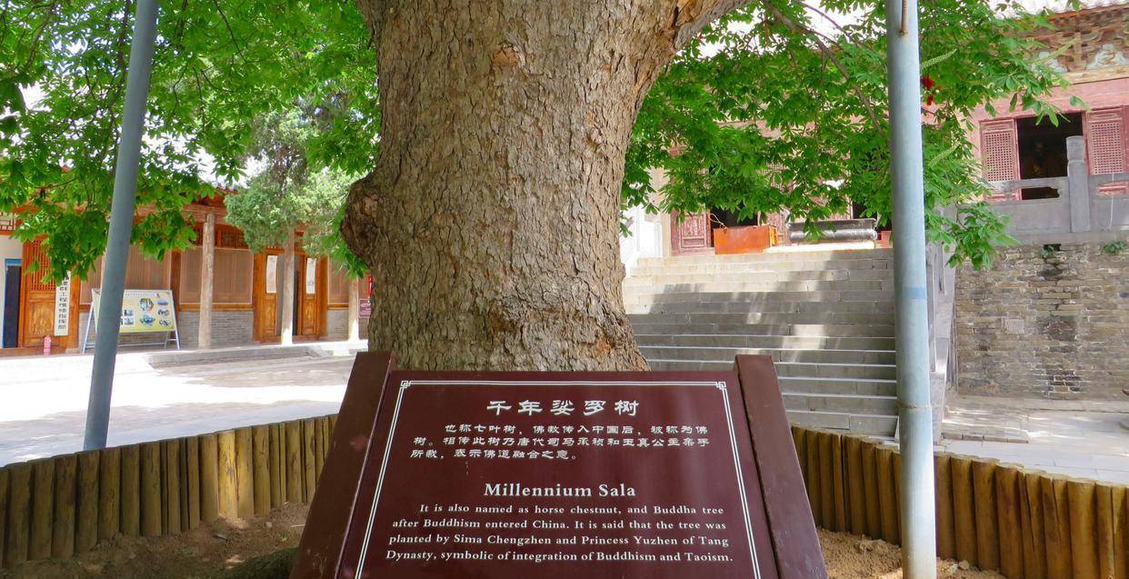 河南这座道观,唐玄宗题匾,李白在此留下存世唯一真迹,门票免费_王屋