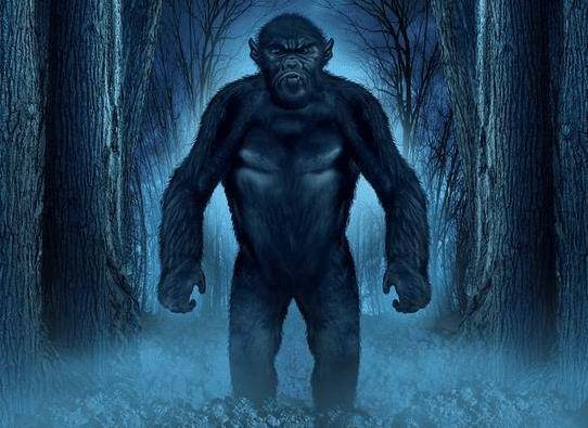 此人说自己遇到过野人,并且是被他打伤,50年过去了吗?