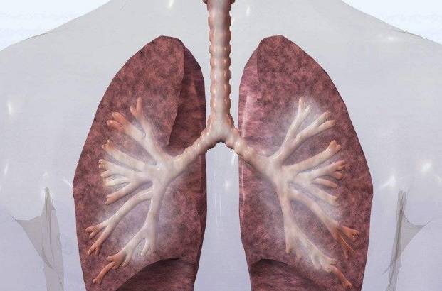 戒烟,肺能恢复吗?