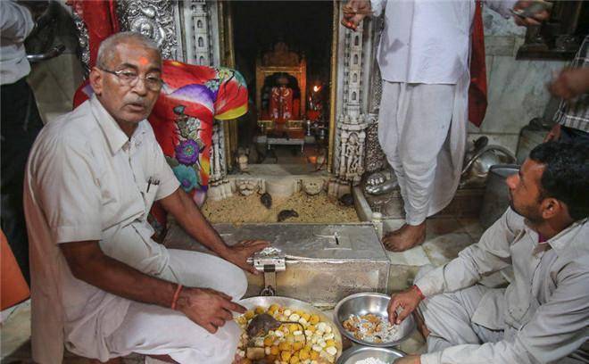 印度这个"老鼠庙",几万只老鼠养尊处优,香客游人络绎不绝_游客_生活