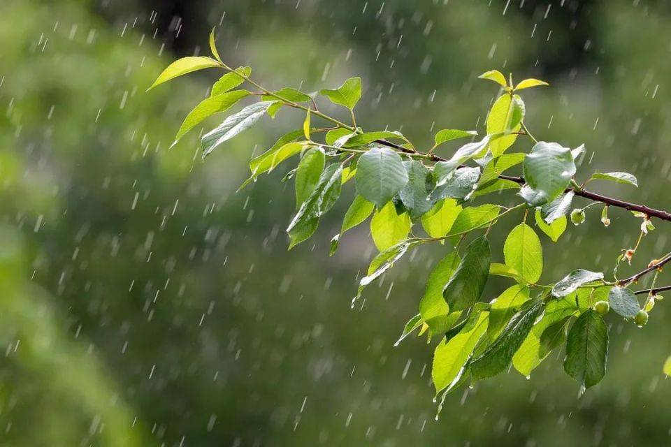 春雨的图片唯美 雨景图片