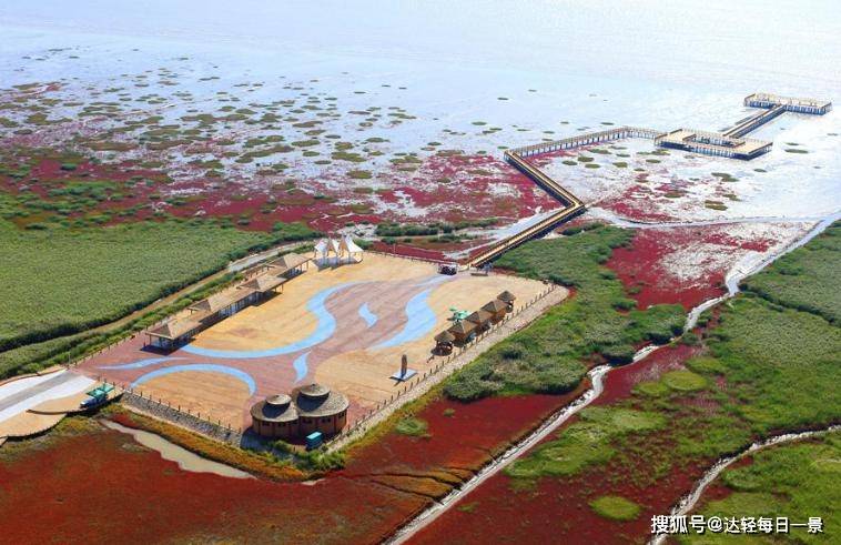 我来到了湿地科普馆,这里详细介绍了红海滩的形成过程,生态系统以及