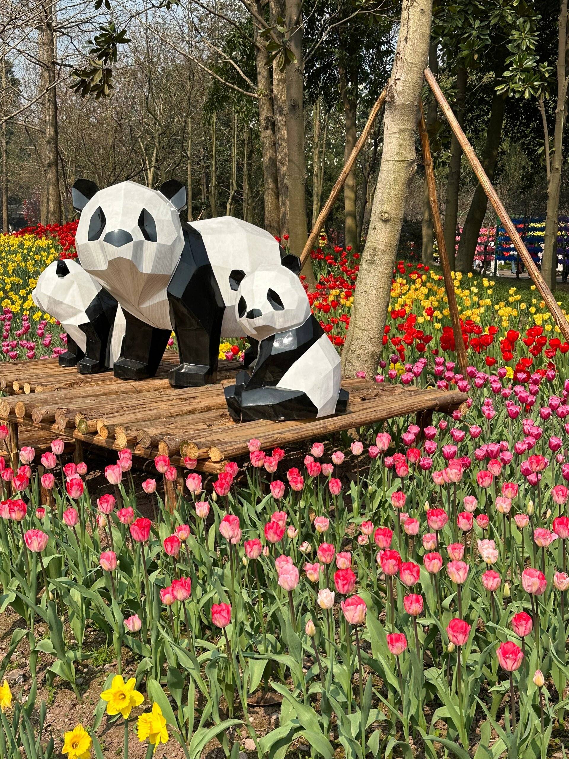 重庆动物园春游好去处!_建议_熊猫园_游客