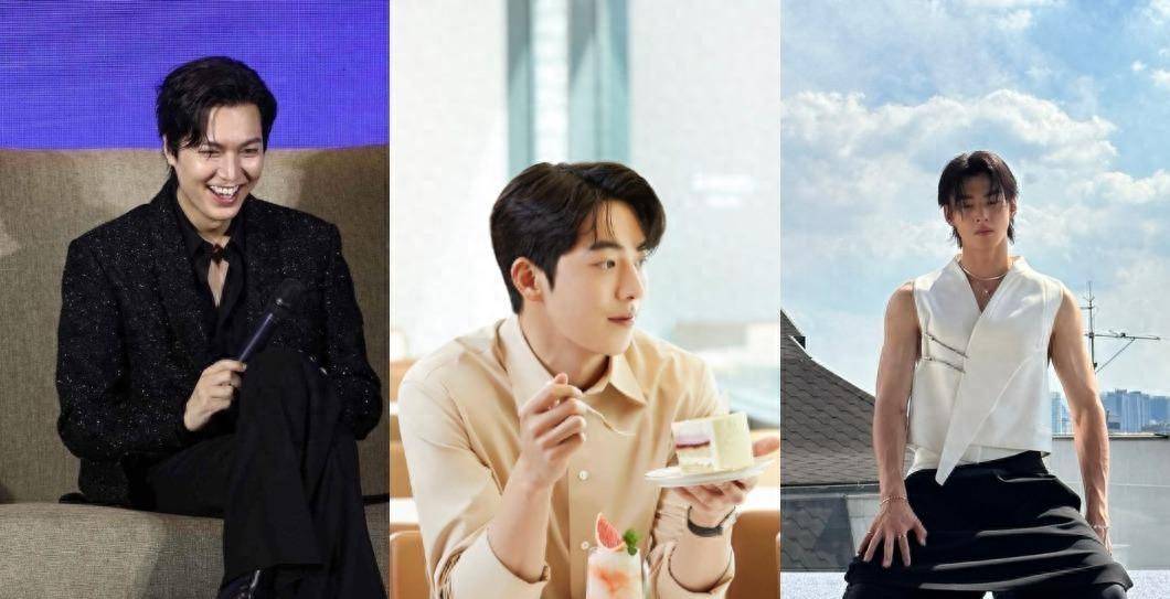 2024韩剧男星人气排行top10 第1名粉丝高达4200万_全球_观众_剧中