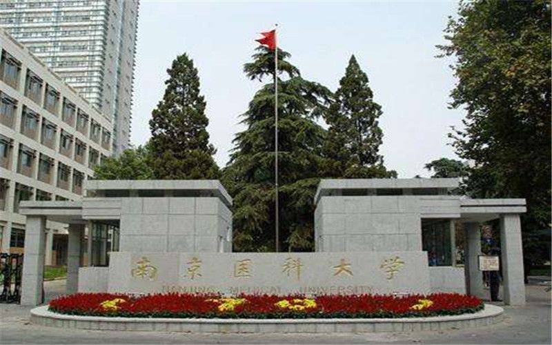 南京医科大学招聘生物医学工程与信息学院院长公告_建设_人才_高层次