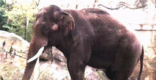 事件,其中3个发生在中国,科学家至今也没找到原因_苏门答腊_石臼_加伊