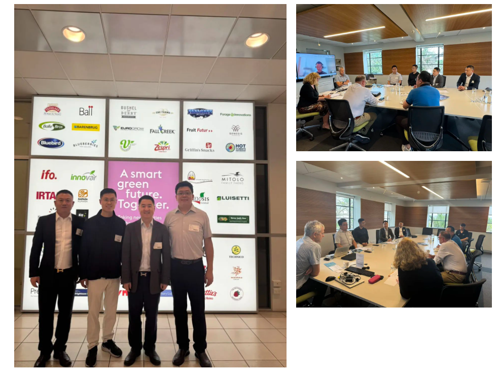 卓樱桃应邀赴新西兰考察访问,携手ema协会开启全球化战