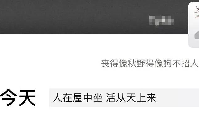 那么可爱的一条柴犬你自己花钱养的狗这是什么样的一种变态心理啊画面