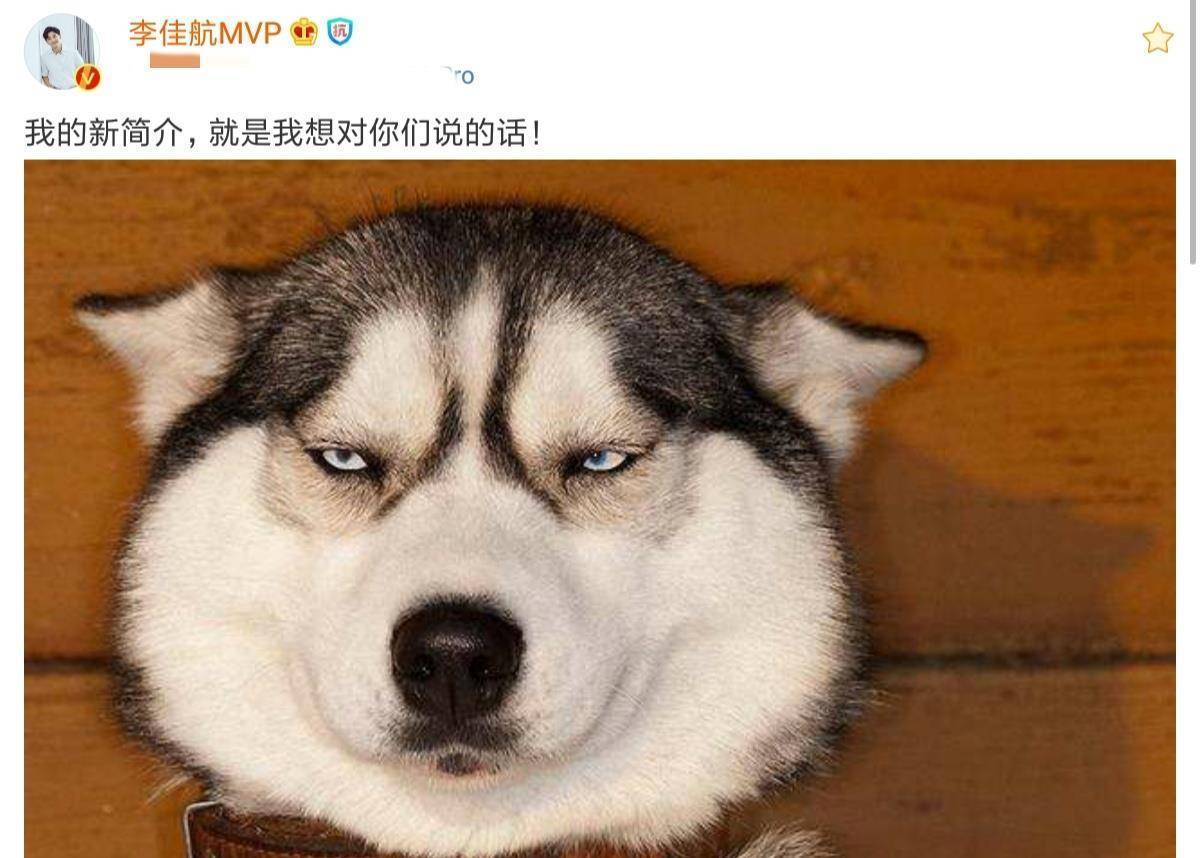 网友:看来你对自己的认知还不够清晰_张伟_互动_爱情