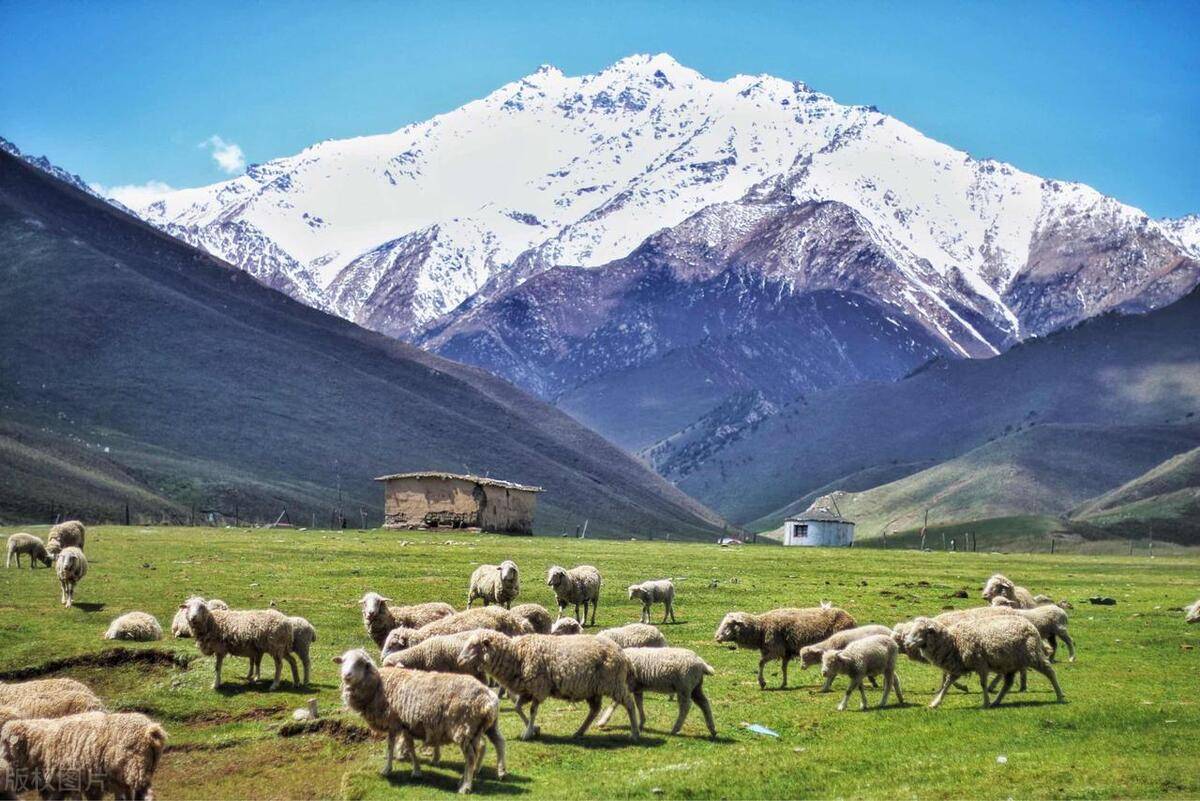 几乎浓缩了大西北全部美景,却少有人提起_草原_肃南县_中国