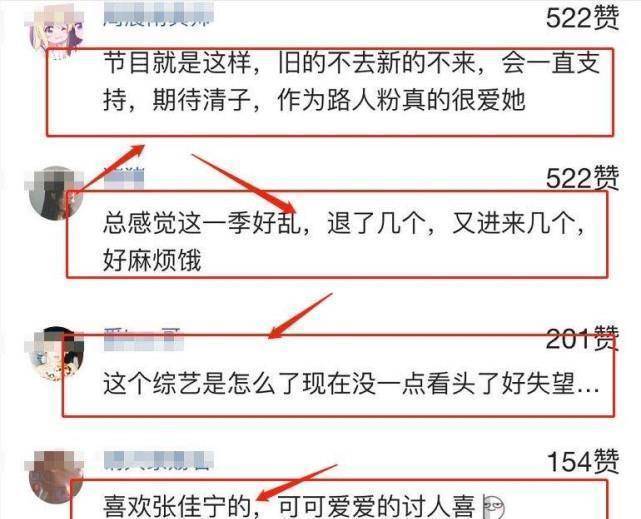 但让人没有想到的是张佳宁和张碧晨也退出了节目的录制,张碧晨更是