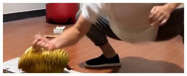 功夫_训练_武艺