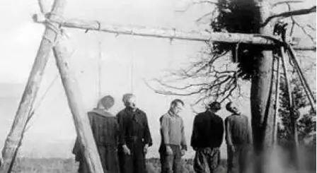 美国_苏俄_俄罗斯