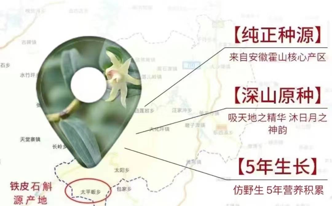 种植_自然_环境