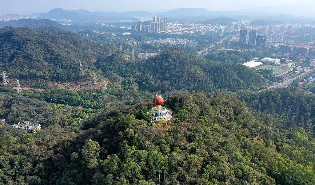 楼)中粮大悦广场弊写字楼(优势,劣势)分析,一文读懂_深圳市_产业_公寓